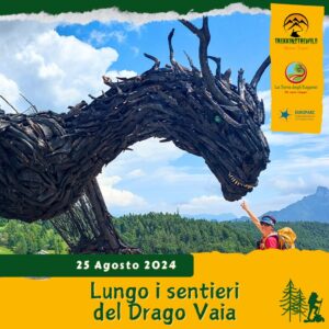 trekking escursione prealpi venete altopiano lavarone drago vaia regeneration martalar respiro alberi rinascita gionghi magrè domenica 25 agosto 2024 trentino alto adige veneto