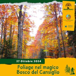 trekking escursione prealpi venete cansiglio faggi cervo bramito foresta colori foliage autunno domenica 27 ottobre 2024 belluno veneto