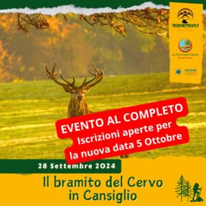 trekking escursione prealpi venete cansiglio faggi cervo bramito foresta colori foliage autunno sabato 28 settembre 2024 belluno veneto al completo