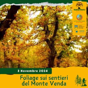 trekking escursione colli euganei autunno foliage monte venda maronari secolari bosco alta via anello domenica 3 novembre 2024 mattina unesco