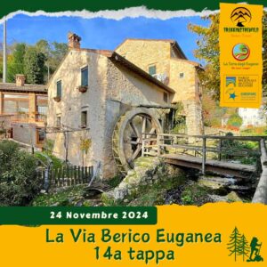 trekking escursione colli euganei berici via berico euganea nuovo cammino 14a tappa vicenza padova domenica 24 novembre 2024 mossano barbarano lumignano grotta san bernardino