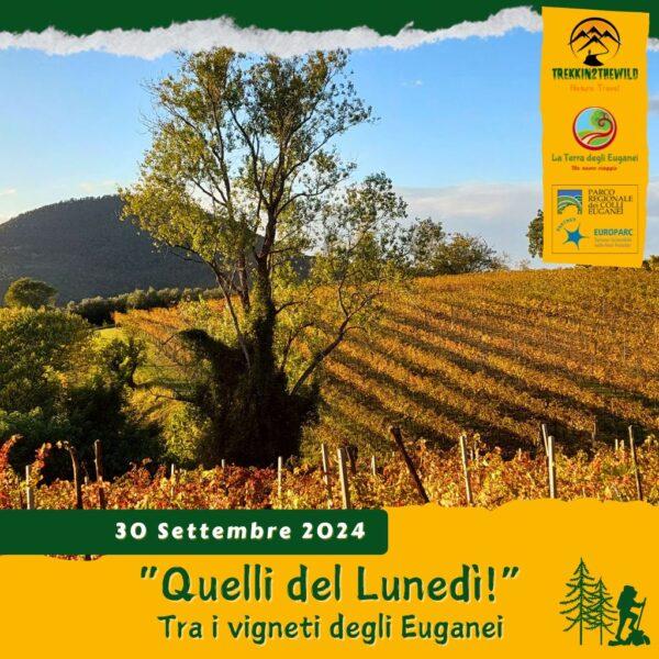 trekking escursione colli euganei monte brecale venda autunno colori foliage faedo lunedì pomeriggio 30settembre 2024 unesco europarc federparchi