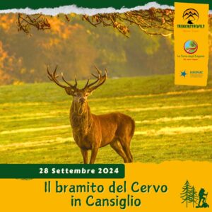 trekking escursione prealpi venete cansiglio faggi cervo bramito foresta colori foliage autunno sabato 28 settembre 2024 belluno veneto