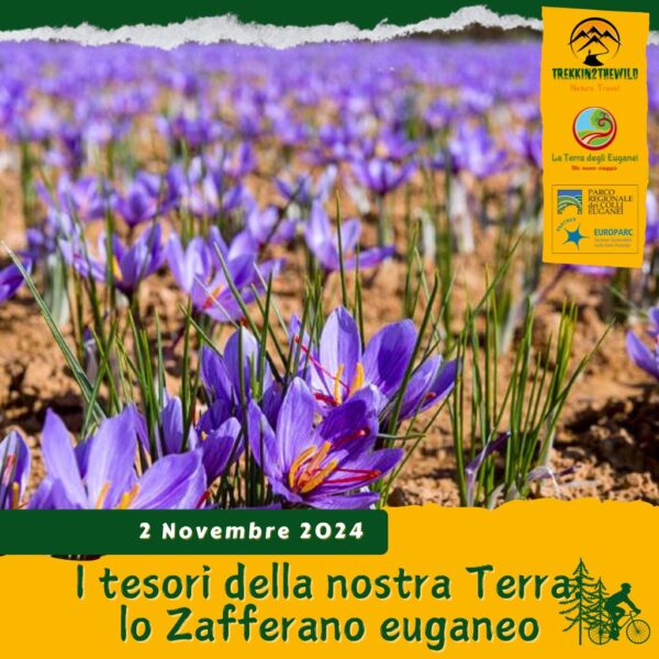 trekking escursione bici ciclismo cicloturismo colli euganei zafferano monselice saggezza terra raccolta esperienza ognissanti sabato 2 novembre 2024 veneto