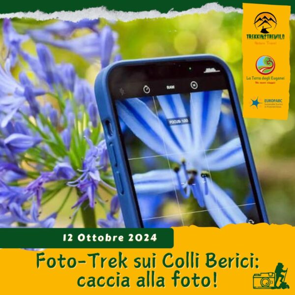 trekking escursione colli berici autunno villa foto fotografia cellulare selfie scatto vincita gioco sabato 12 ottobre 2024 veneto ok