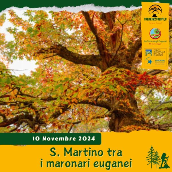 trekking escursione colli euganei autunno foliage monte grande madonna maronari secolari bosco passo fiorine teolo rovolon san martino festa domenica 10 novembre 2024 mattina