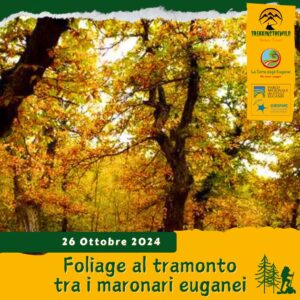 trekking escursione colli euganei autunno tramonto foliage monte venda maronari secolari bosco alta via anello sabato 26 ottobre 2024 pomeriggio