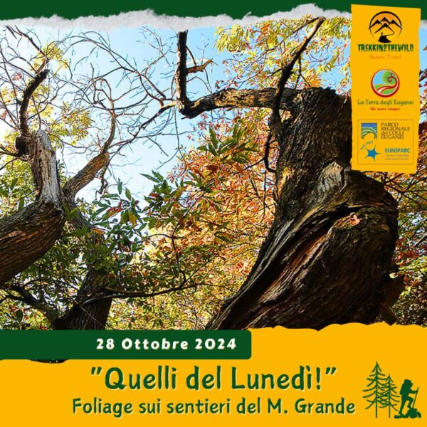 trekking escursione colli euganei monte madonna grande rovolon teolo maronari castagneti castagna foliage lunedì pomeriggio 28 ottobre 2024 unesco europarc federparchi