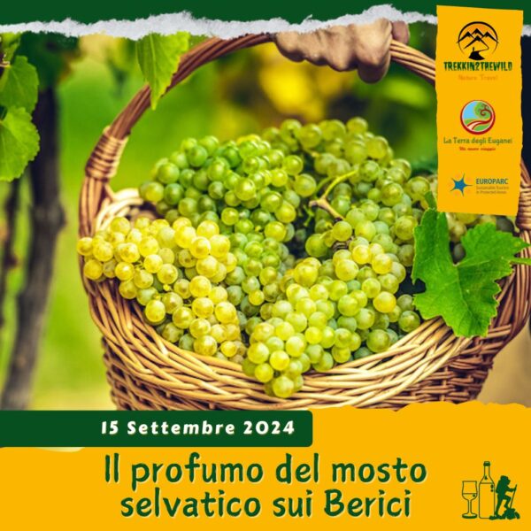 trekking escursione degustazione mosto vendemmia vigneti vino costalunga nanto castegnero colli berici domenica 15 settembre 2024 veneto