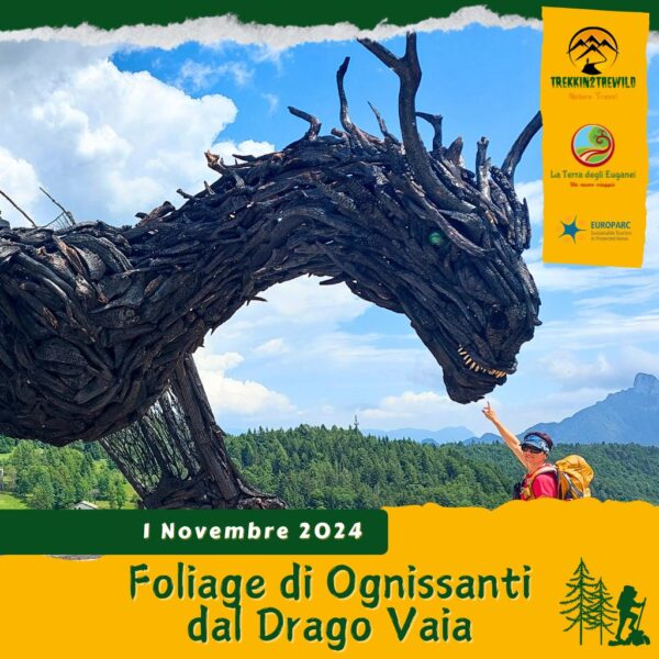 trekking escursione prealpi venete altopiano lavarone drago vaia regeneration martalar respiro alberi gionghi foliage ognissanti venerdì 1 novembre 2024 trentino alto adige veneto