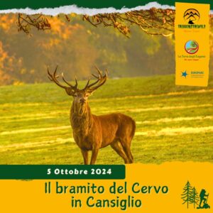 trekking escursione prealpi venete cansiglio faggi cervo bramito foresta colori foliage autunno sabato 5 ottobre 2024 belluno veneto