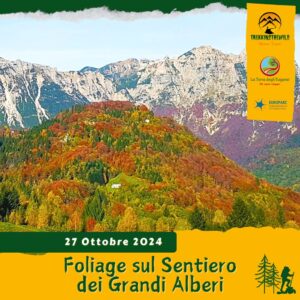 trekking escursione prealpi venete grandi alberi piccole dolomiti recoaro mille foresta colori foliage autunno domenica 27 ottobre 2024 vicenza veneto