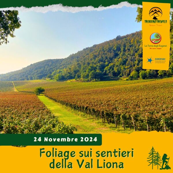 trekking escursione colli berici val liona villa del ferro foliage autunno sentiero donatori domenica 24 novembre 2024 veneto mattina