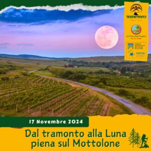 trekking escursione colli euganei luna piena plenilunio mottolone pianoro tramonto terme euganee domenica 17 novembre 2024 pomeriggio foliage