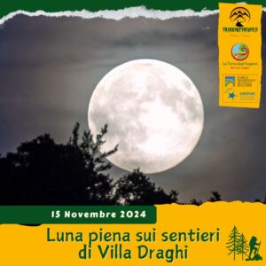 trekking escursione colli euganei luna piena plenilunio villa draghi montegrotto terme euganee venerdì 15 novembre 2024 notte notturna