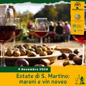 trekking escursione colli euganei monte comun rovolon vo' vino novello marroni castagne estate san martino aperitivo campagnola sabato 9 novembre 2024 pomeriggio