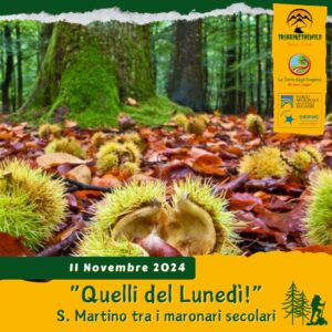 trekking escursione colli euganei monte venda monastero olivetani maronari san martino castagne terme lunedì pomeriggio 11 novembre 2024 unesco europarc federparchi ok