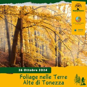 trekking escursione prealpi venete toraro faggi foresta colori foliage autunno sabato 26 ottobre 2024 veneto tonezza trentino alto adige