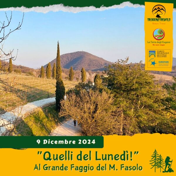 trekking escursione colli euganei monte fasolo valle san giorgio faggio gemola mottolone cinto arquà petrarca cantina lunedì pomeriggio 9 dicembre 2024 unesco europarc federparchi