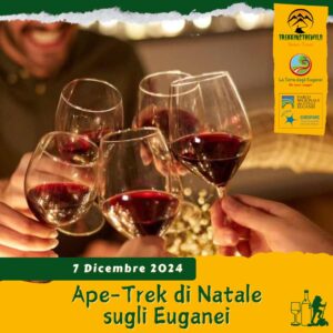 trekking escursione colli euganei tramonto immacolata cantina turetta ca' bianca vino aperitivo natale regalo sabato 7 dicembre 2024 pomeriggio