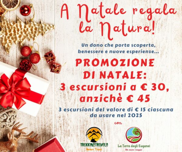 PROMOZIONE NATALE 2024