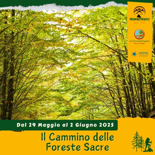 trekking escursione cammino foreste sacre casentinesi toscana san francesco camaldoli la verna pellegrini emilia romagna faggio 29 30 31 maggio 1 2 giugno 2025 rifugio