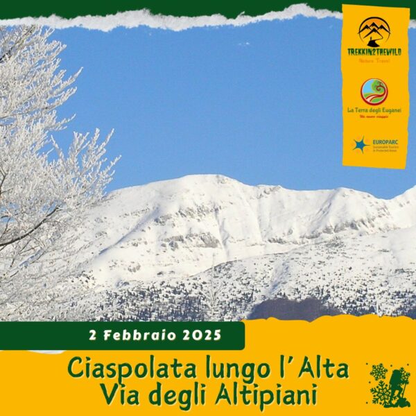 trekking escursione ciaspe ciaspolata neve altopiano sette comuni asiago mandriolo larici rifugio val formica montagna domenica 2 febbraio 2025 veneto