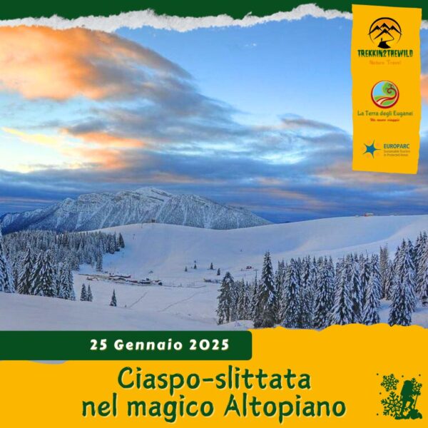 trekking escursione ciaspe ciaspolata neve enego valmaron rifugio slitta forte lisser aquila vaia marcesina altopiano sette comuni asiago sabato 25 gennaio 2025 veneto trentino