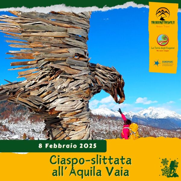 trekking escursione ciaspe ciaspolata neve enego valmaron rifugio slitta piana marcesina aquila vaia altopiano sette comuni asiago sabato 8 febbraio 2025 veneto trentino