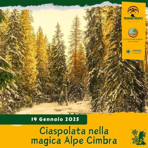 trekking escursione ciaspe ciaspolata neve prealpi alpe cimbra monte maggio passo coe trentino folgaria montagna natale domenica 19 gennaio 2025 veneto trentino alto adige