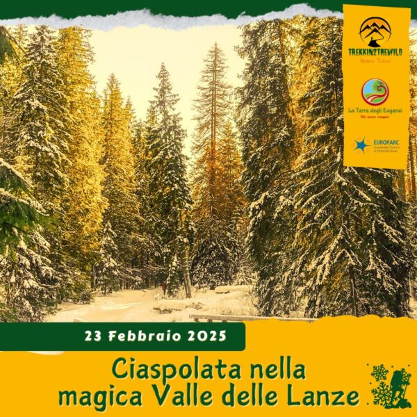 trekking escursione ciaspe ciaspolata neve prealpi alpe cimbra valle lanze fiorentini trentino folgaria montagna domenica 23 febbraio 2025 veneto