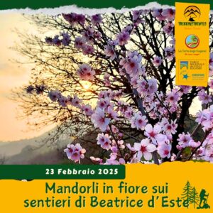 trekking escursione colli euganei monte fasolo beatrice d'este gemola villa cinto euganeo mandorli fiore fioriture domenica 23 febbraio 2025 veneto unesco pomeriggio