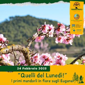 trekking escursione colli euganei monte fasolo rusta cinto euganeo mandorli fiori lunedì pomeriggio 24 febbraio 2025 unesco europarc federparchi pomeriggio