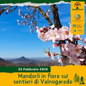 trekking escursione colli euganei monte vendevolo valnogaredo frantoio mandorli fiore fioriture domenica 23 febbraio 2025 veneto unesco mattina