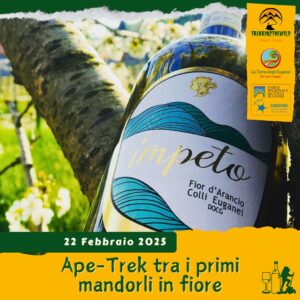 trekking escursione colli euganei tramonto cantina veronese valnogaredo cinto euganeo vino aperitivo mandorli fiori sabato 22 febbraio 2025 pomeriggio europarc federparchi