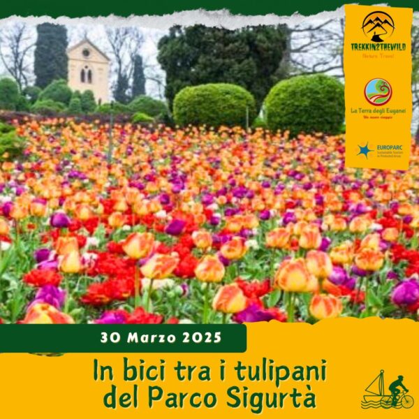 cicloturismo ciclo-escursione bici mantova valli mincio tulipanomania tulipani parco sigurtà borghetto valeggio noleggio domenica 30 marzo 2025 lombardia