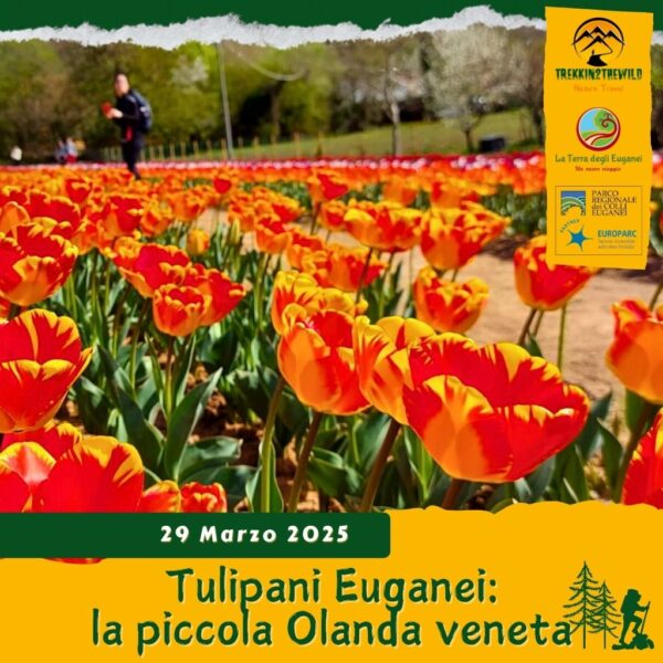 trekking escursione colli euganei tulipani terra livii raccolta torreglia terre bianche olanda sabato 29 marzo 2025 veneto unesco