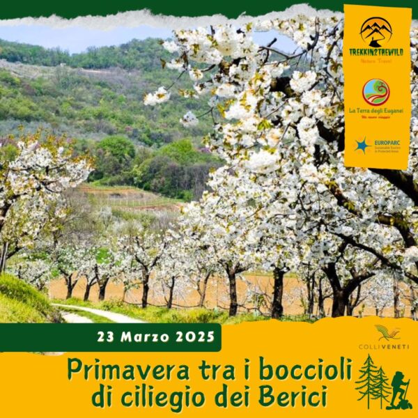 trekking escursione colli berici veneti giornata vicenza castegnero nanto ciliegi fiori primavera domenica 23 marzo 2025 veneto pomeriggio ok