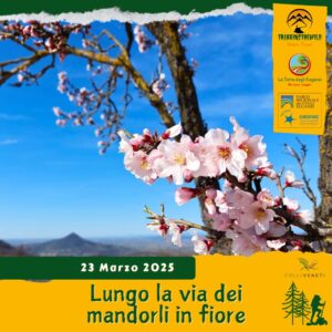 trekking escursione colli euganei este baone api apicoltori miele villa beatrice valle san giorgio mandorli domenica 23 marzo mattina 2025 veneto unesco