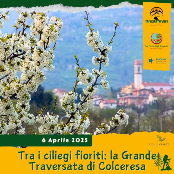 trekking escursione colli veneti pedemontana vicenza ciliegi colceresa marostica pianezze mason domenica 23 marzo 2025 veneto