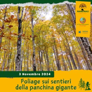 trekking escursione prealpi venete cengio panchina gigante altopiano sette comuni asiago faggi foresta colori foliage autunno domenica 3 novembre 2024 ponte ognissanti